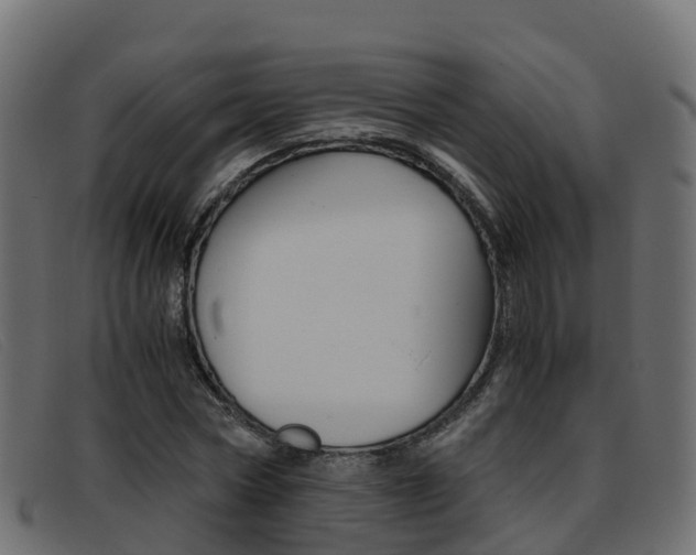 X0000093370778200710111326