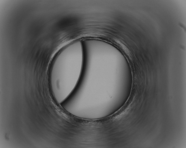 X0000093370779200710111326