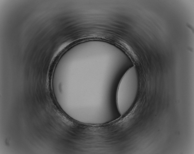 X0000093370780200710111326