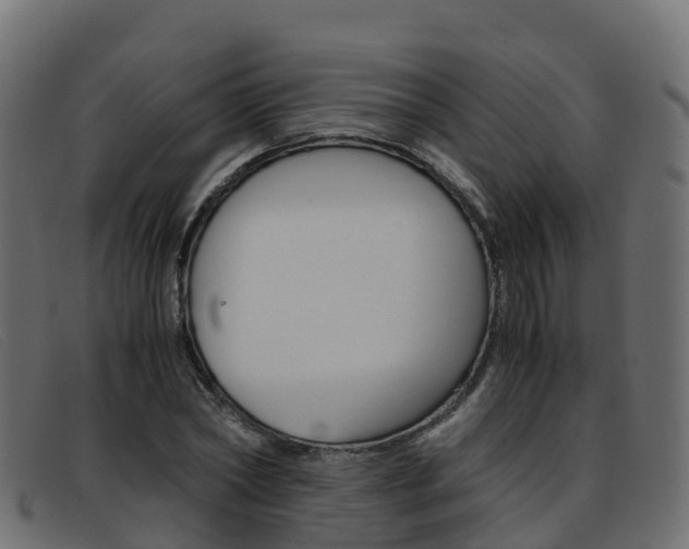 X0000093370782200710111326