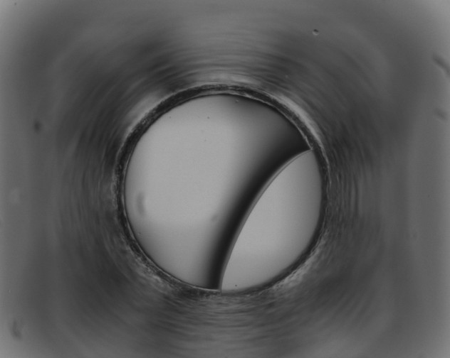 X0000093370783200710111326