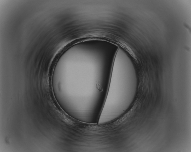 X0000093370784200710111326
