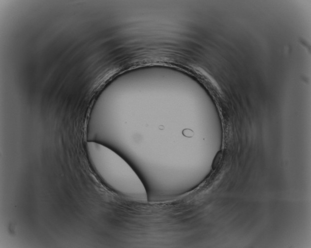 X0000093370785200710111326