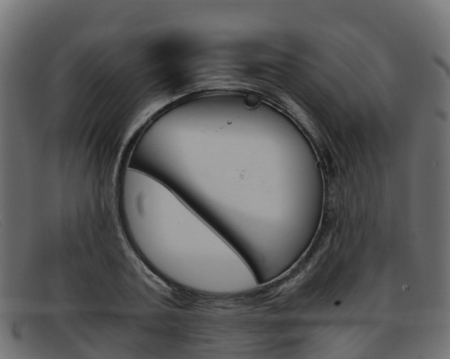 X0000093370787200710111326