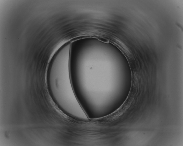 X0000093370788200710111326