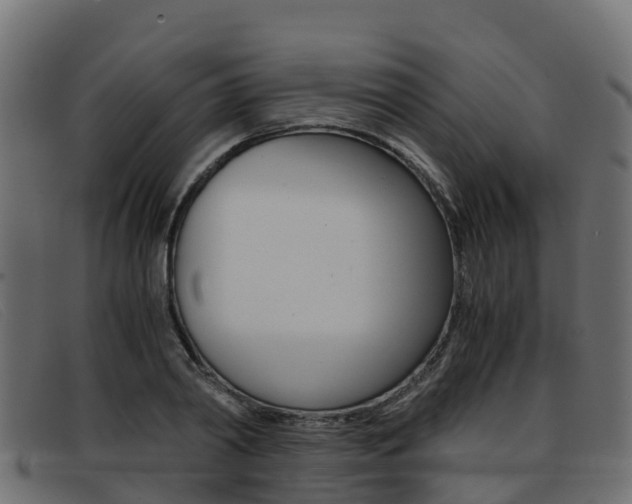 X0000093370790200710111326
