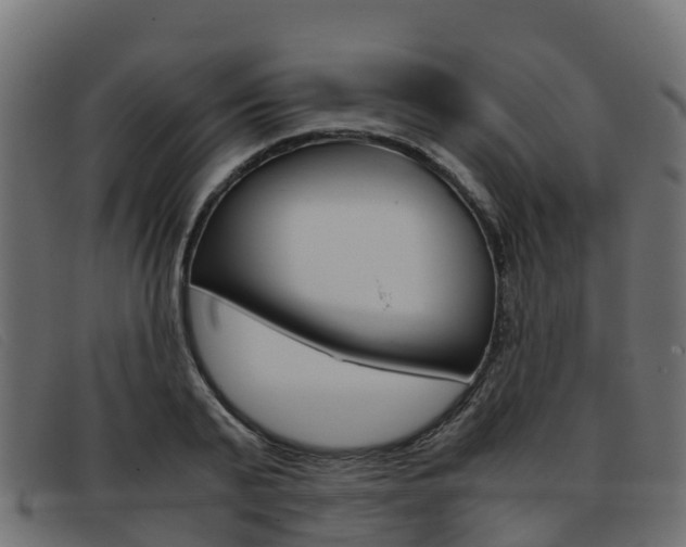 X0000093370791200710111326