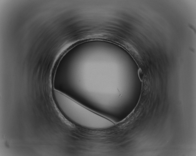 X0000093370792200710111326