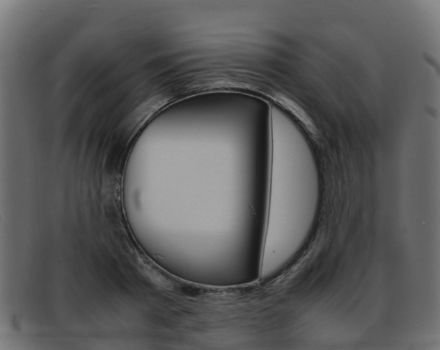 X0000093370793200710111326