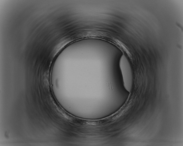 X0000093370794200710111326