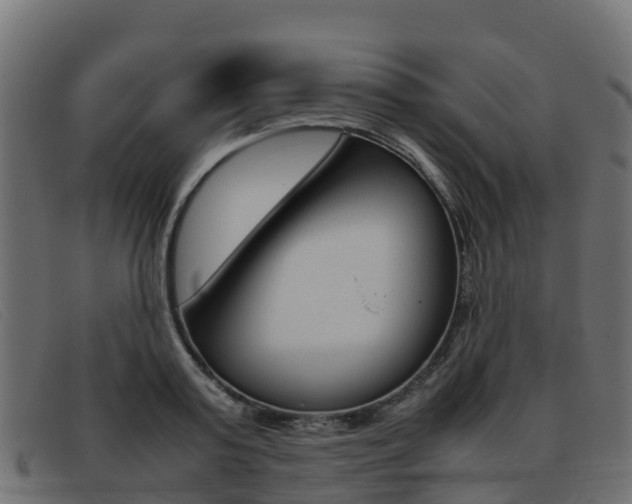 X0000093370795200710111326
