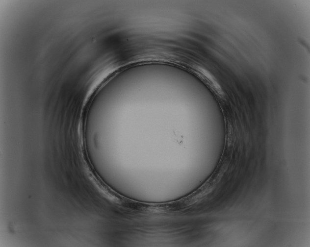 X0000093370796200710111326