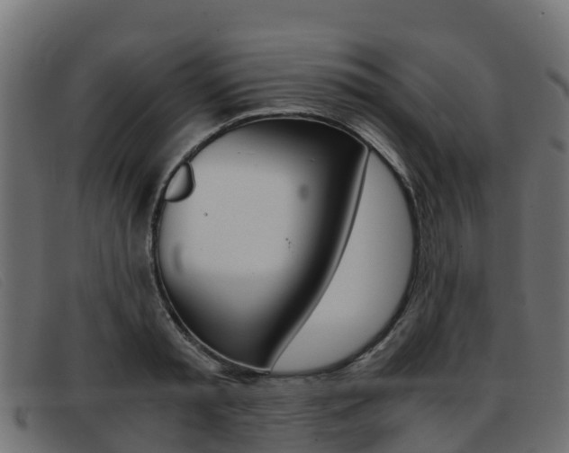 X0000093370797200710111326