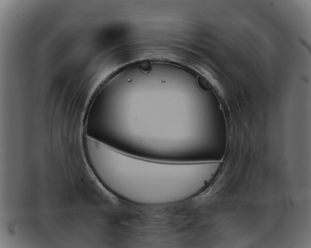 X0000093370799200710111326