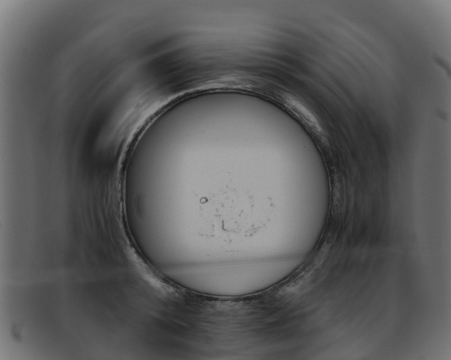 X0000093370800200710111326