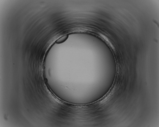 X0000093370802200710111325