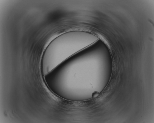 X0000093370803200710111325