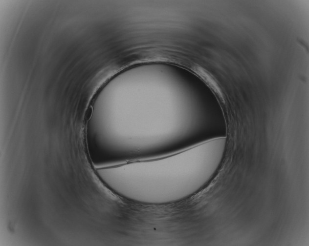 X0000093370805200710111325