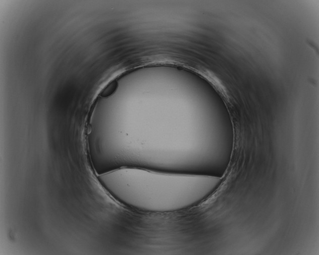 X0000093370806200710111325