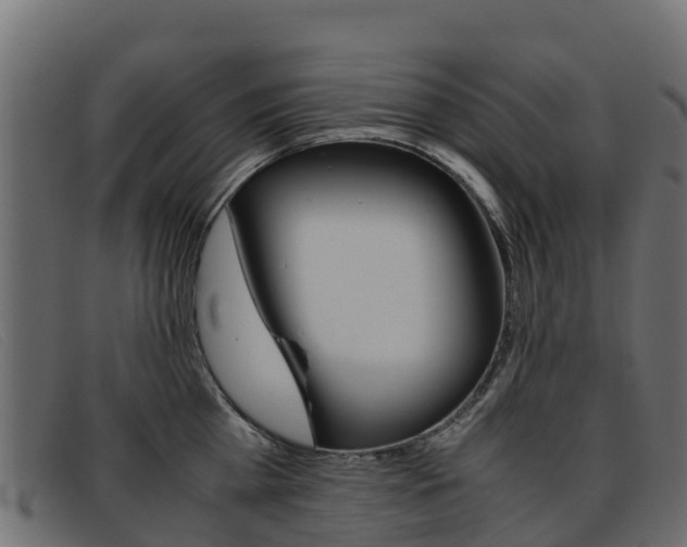 X0000093370809200710111325