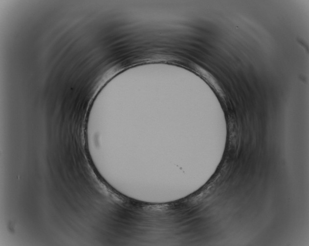 X0000093370810200710111325