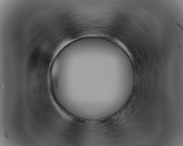 X0000093370811200710111325