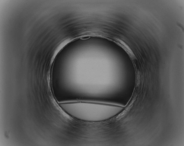 X0000093370812200710111325