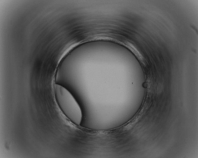 X0000093370814200710111325