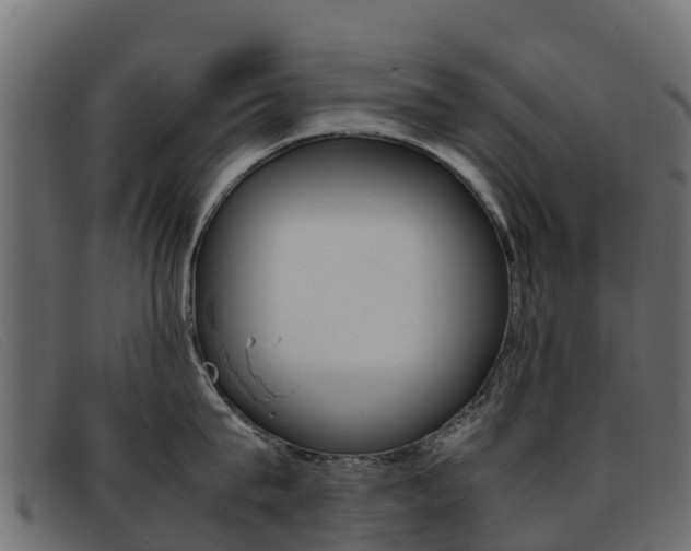 X0000093370815200710111325