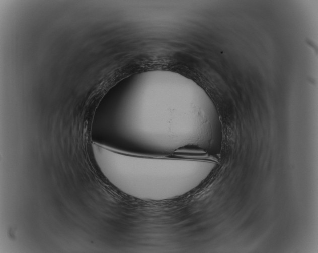 X0000093370818200710111325