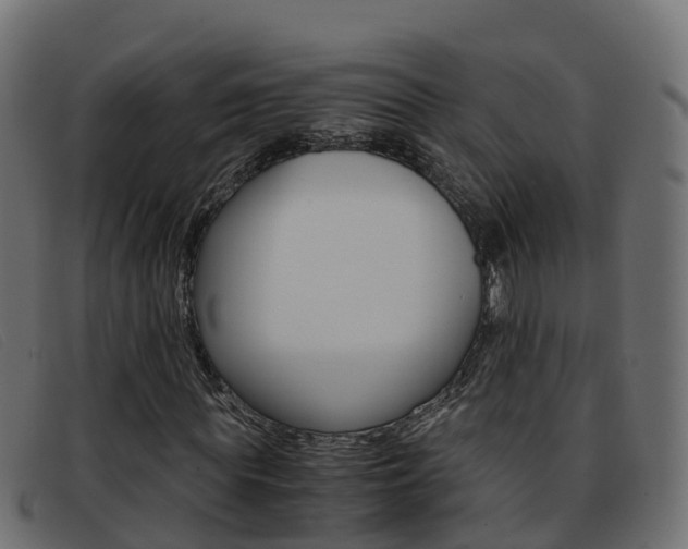 X0000093370819200710111325