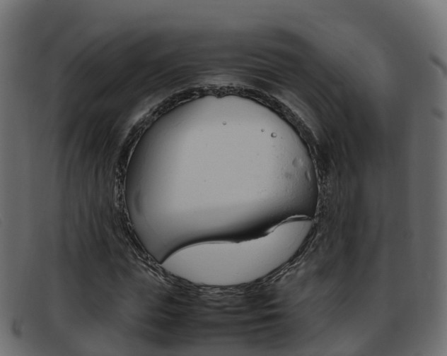 X0000093370823200710111325