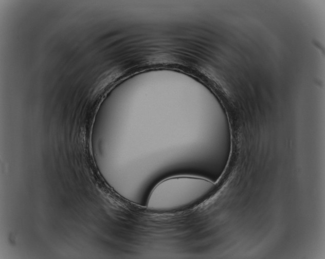 X0000093370825200710111325