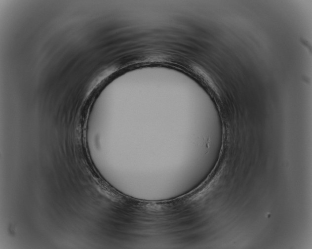 X0000093370827200710111325