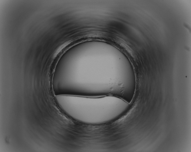 X0000093370829200710111325