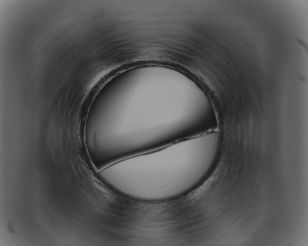X0000093370830200710111325