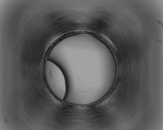 X0000093370831200710111325