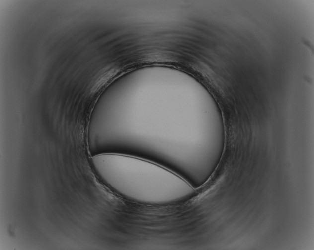 X0000093370833200710111325
