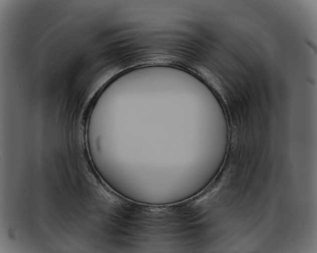 X0000093370835200710111325