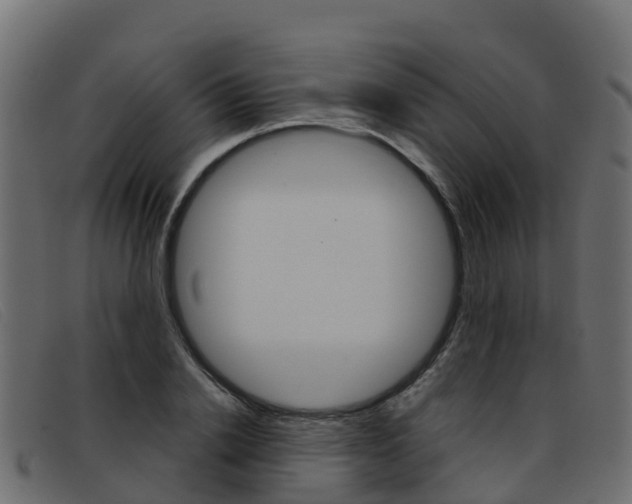 X0000093370838200710111325