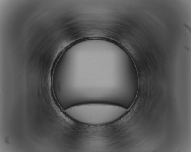 X0000093370840200710111325