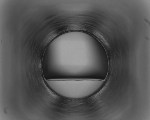 X0000093370841200710111325
