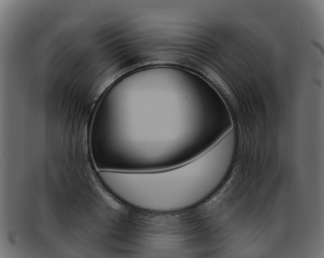X0000093370842200710111325