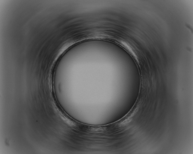 X0000093370843200710111325