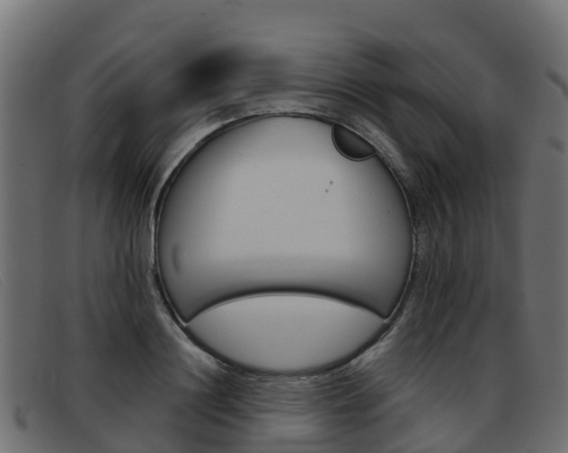 X0000093370844200710111325