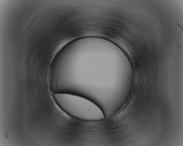 X0000093370847200710111325