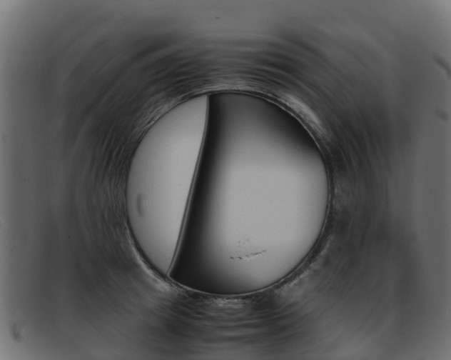 X0000093370849200710111325