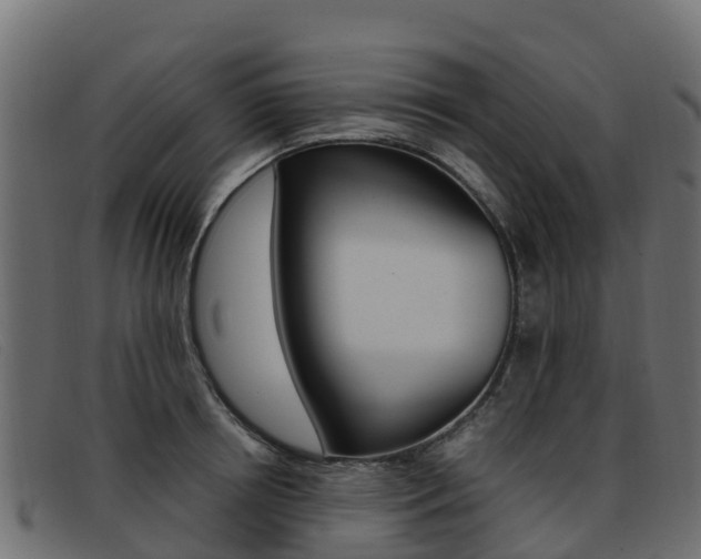 X0000093370850200710111325