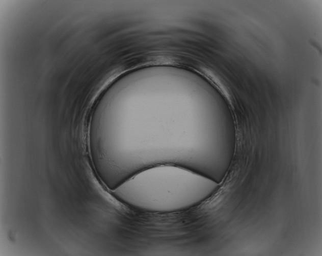X0000093370851200710111325