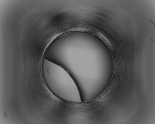 X0000093370852200710111325